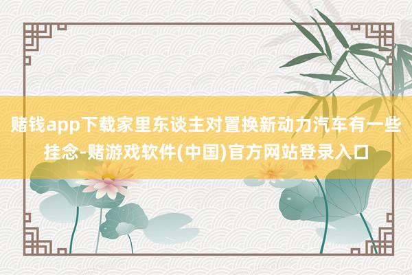 赌钱app下载家里东谈主对置换新动力汽车有一些挂念-赌游戏软件(中国)官方网站登录入口