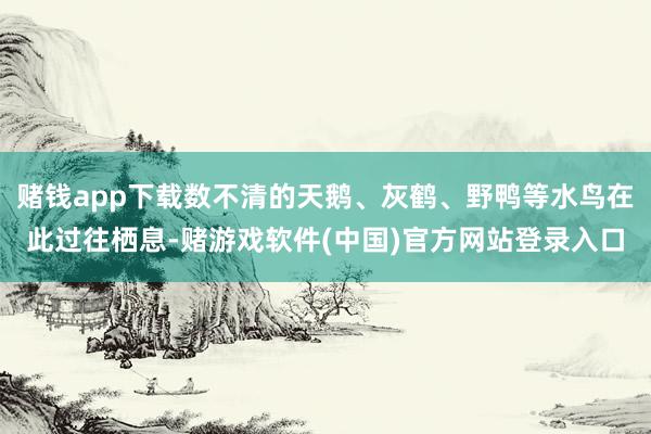 赌钱app下载数不清的天鹅、灰鹤、野鸭等水鸟在此过往栖息-赌游戏软件(中国)官方网站登录入口